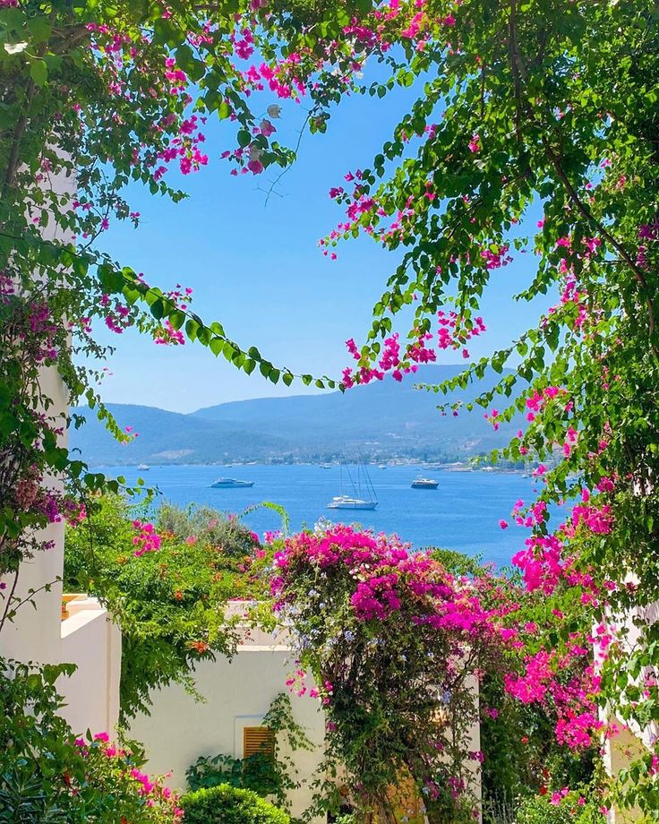 onllycutestuff's tweet photo. Muğla, Türkiye https://t.co/ep0y6KYsWG