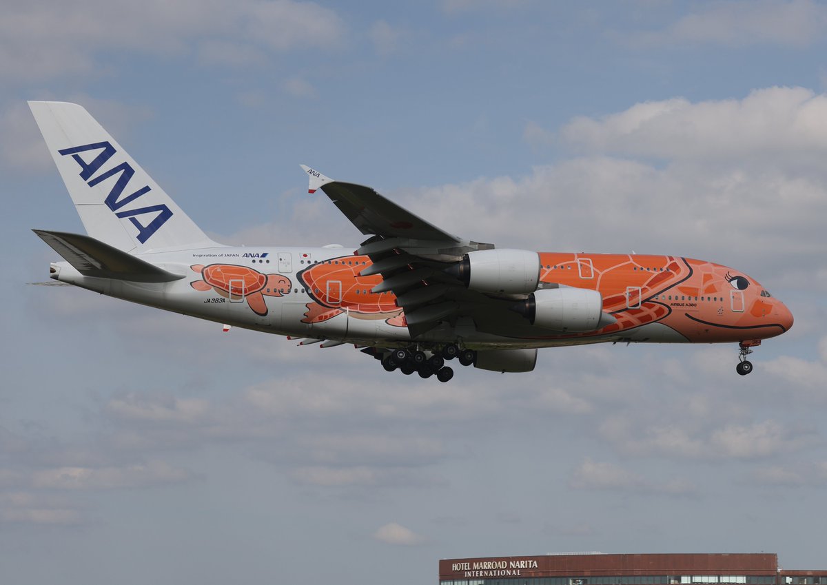 akira_raptor01's tweet image. 2026年4月25日
#成田空港（Narita International Airport）
#NRT #RJAA
⑦All Nippon Airways   Airbus A380-841   JA383A
   'Flying Honu - La'