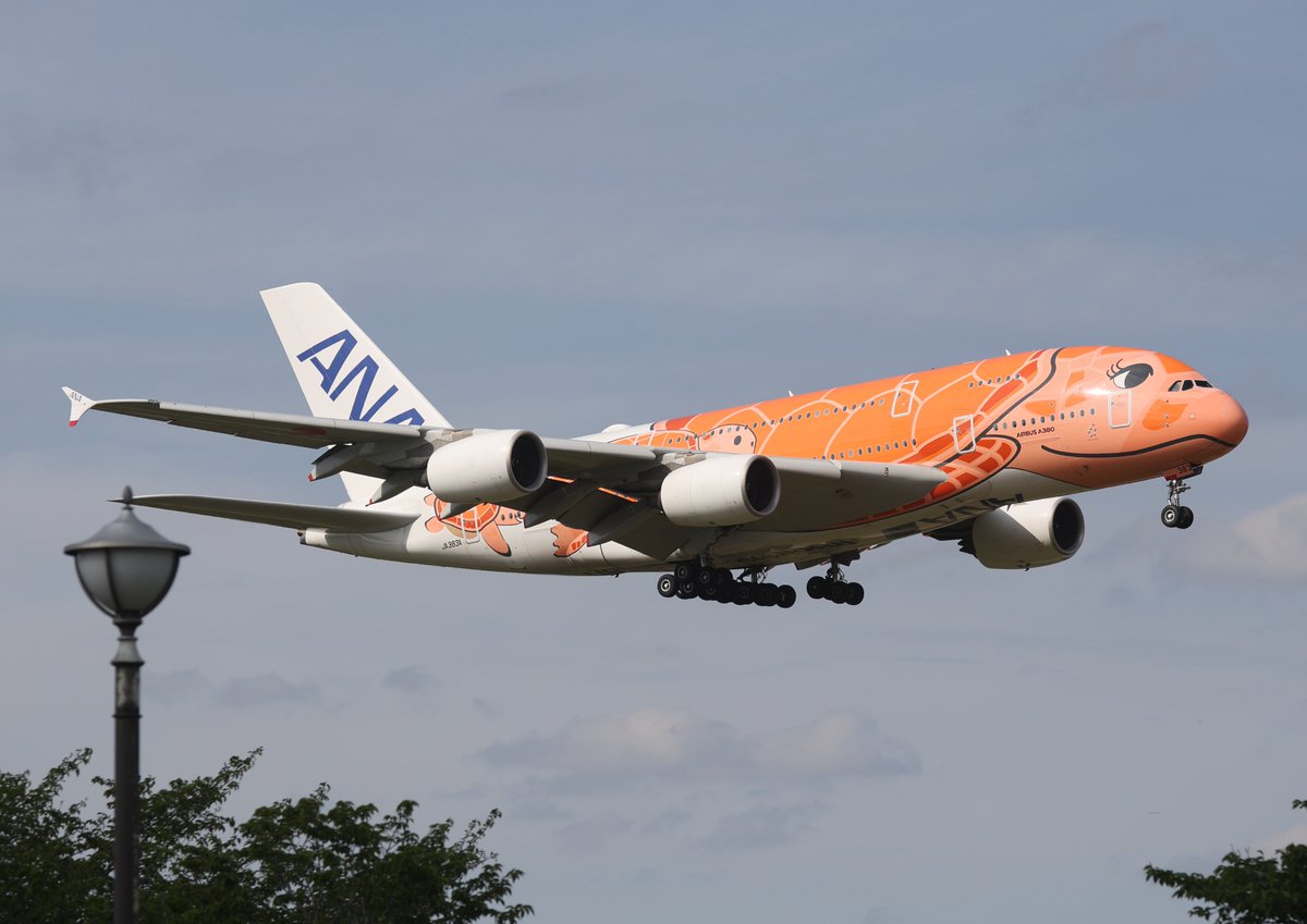 akira_raptor01's tweet image. 2026年4月25日
#成田空港（Narita International Airport）
#NRT #RJAA
⑦All Nippon Airways   Airbus A380-841   JA383A
   'Flying Honu - La'