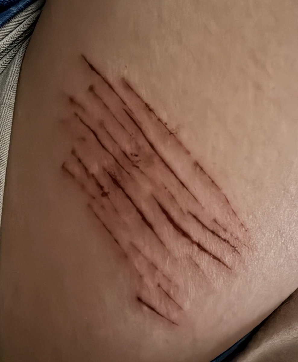 .✦ ݁˖ Daz tweet media