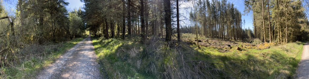 Puppy Bess and Auntie Kes tweet media