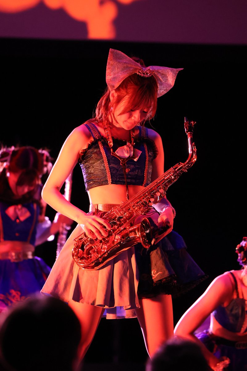 まかろん（なうやしの家の猫） tweet media