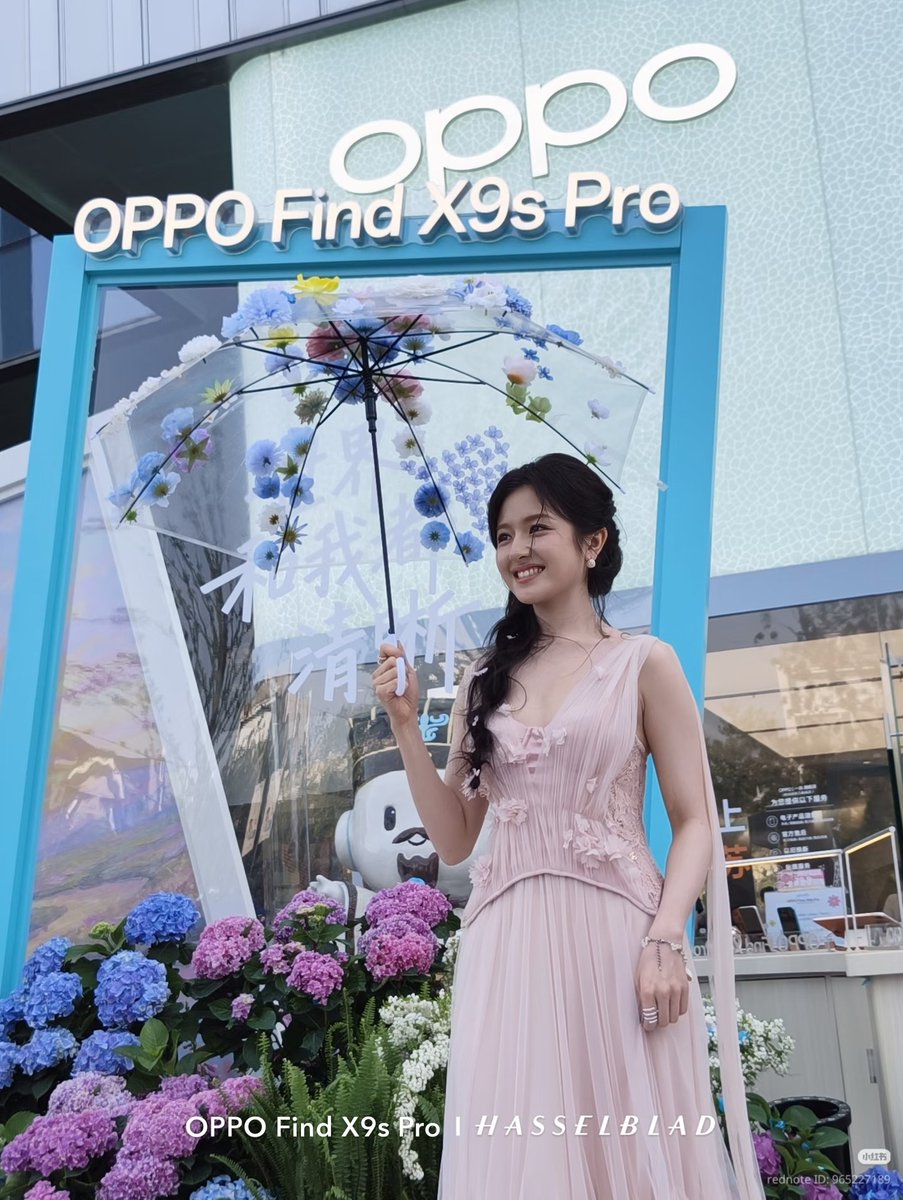 Li Landi 李兰迪. tweet media