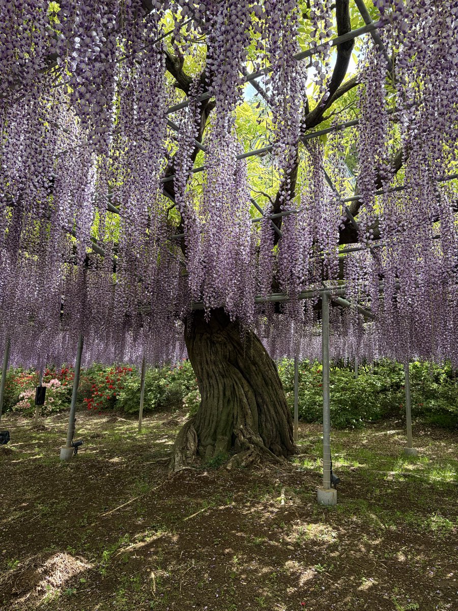 なっち tweet media