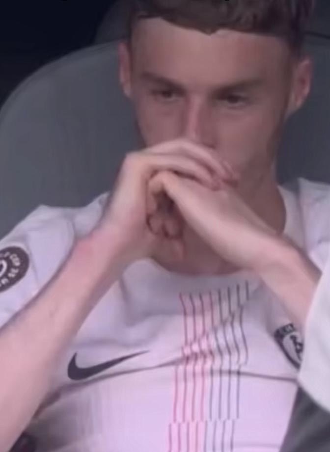 Brilliant🦉 tweet media