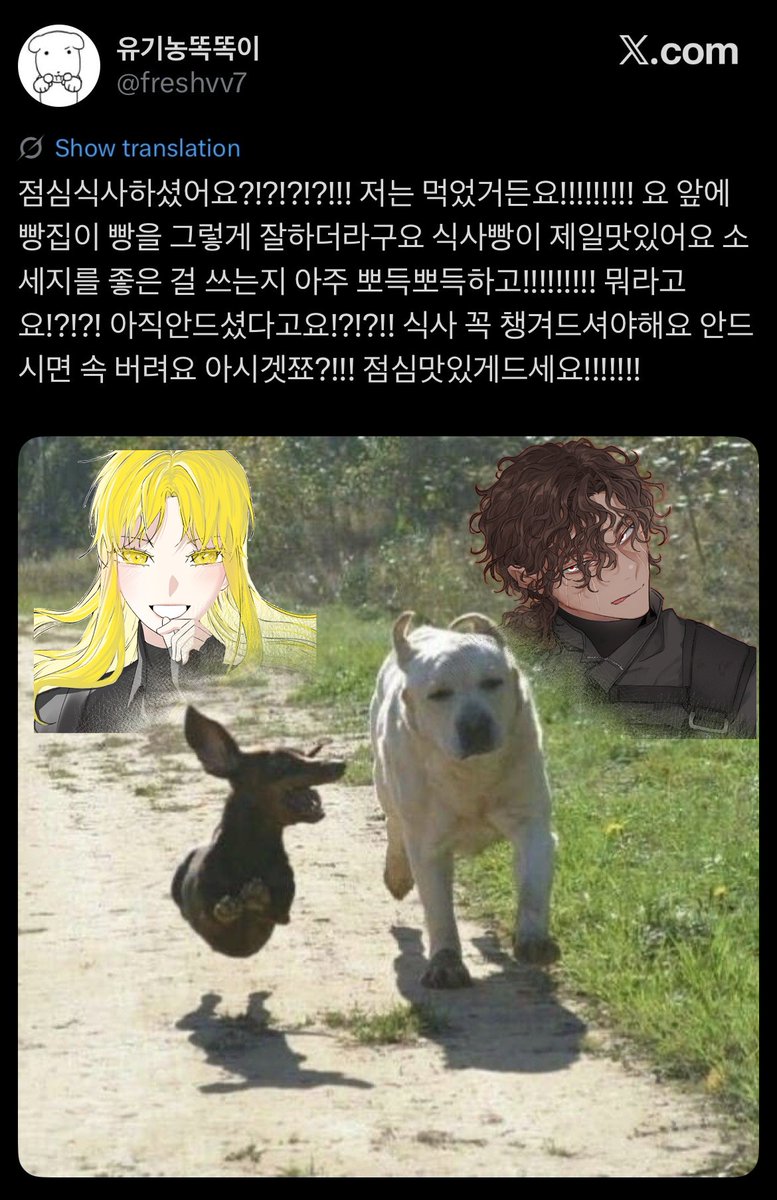 【샨센】 tweet media