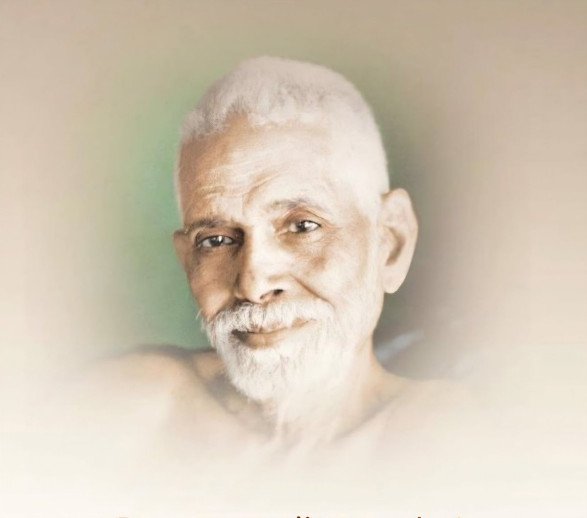 Solitary Owl tweet media