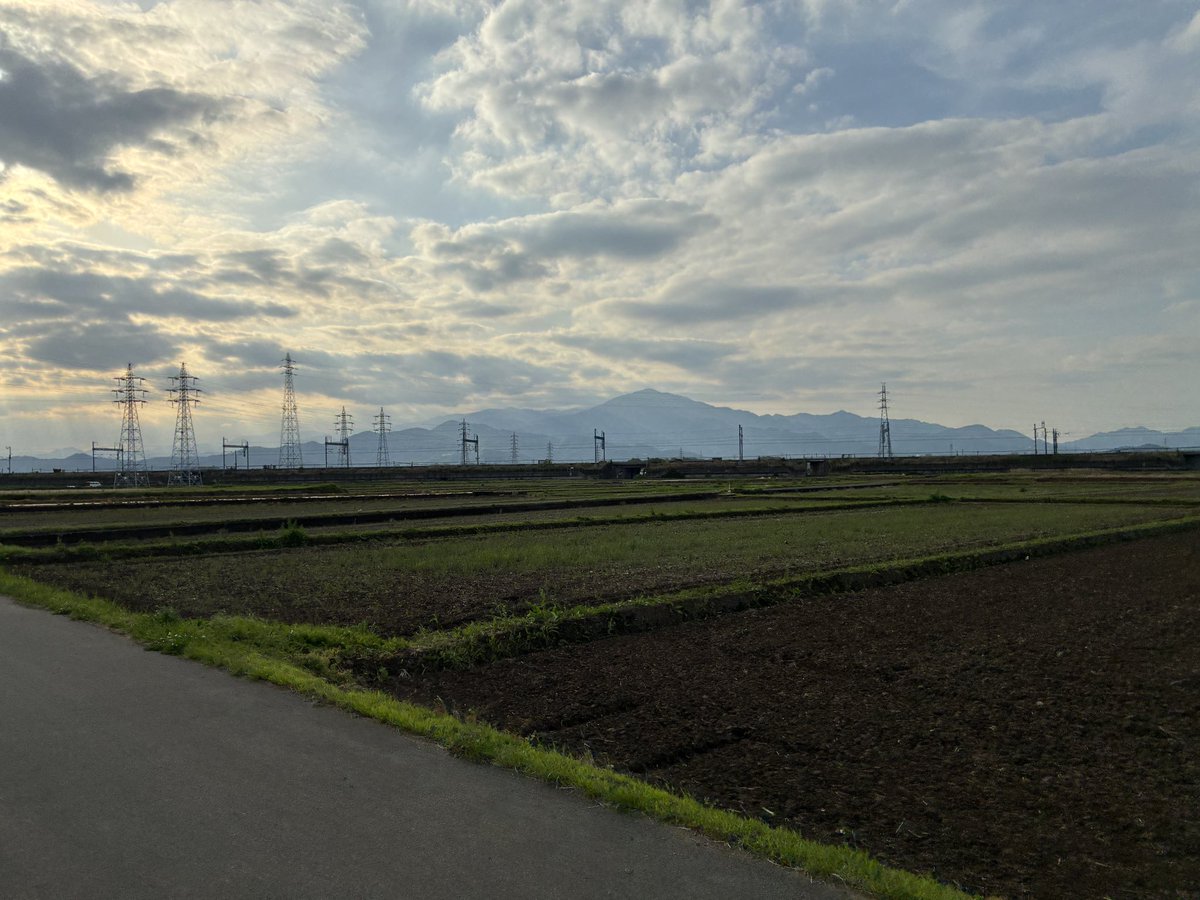 うんこ爆撃 tweet media