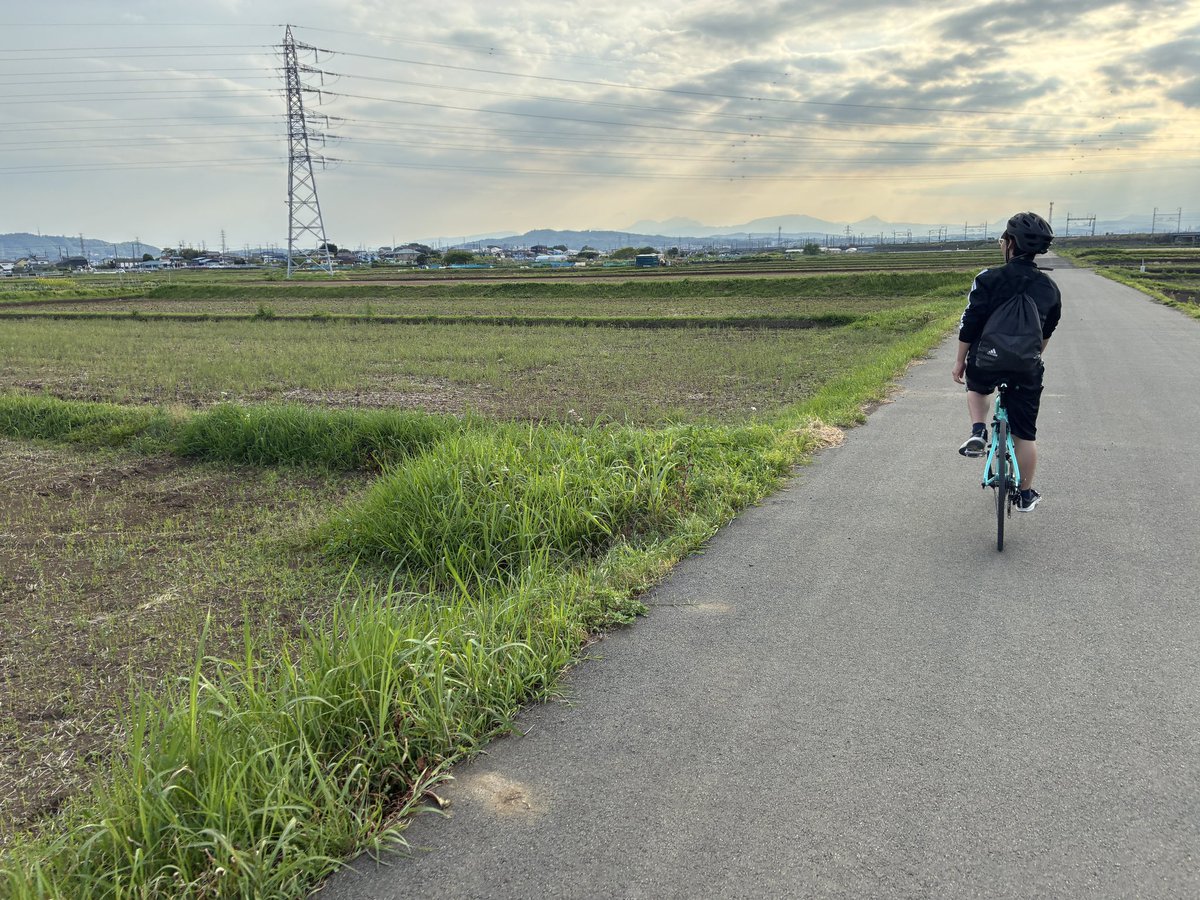 うんこ爆撃 tweet media