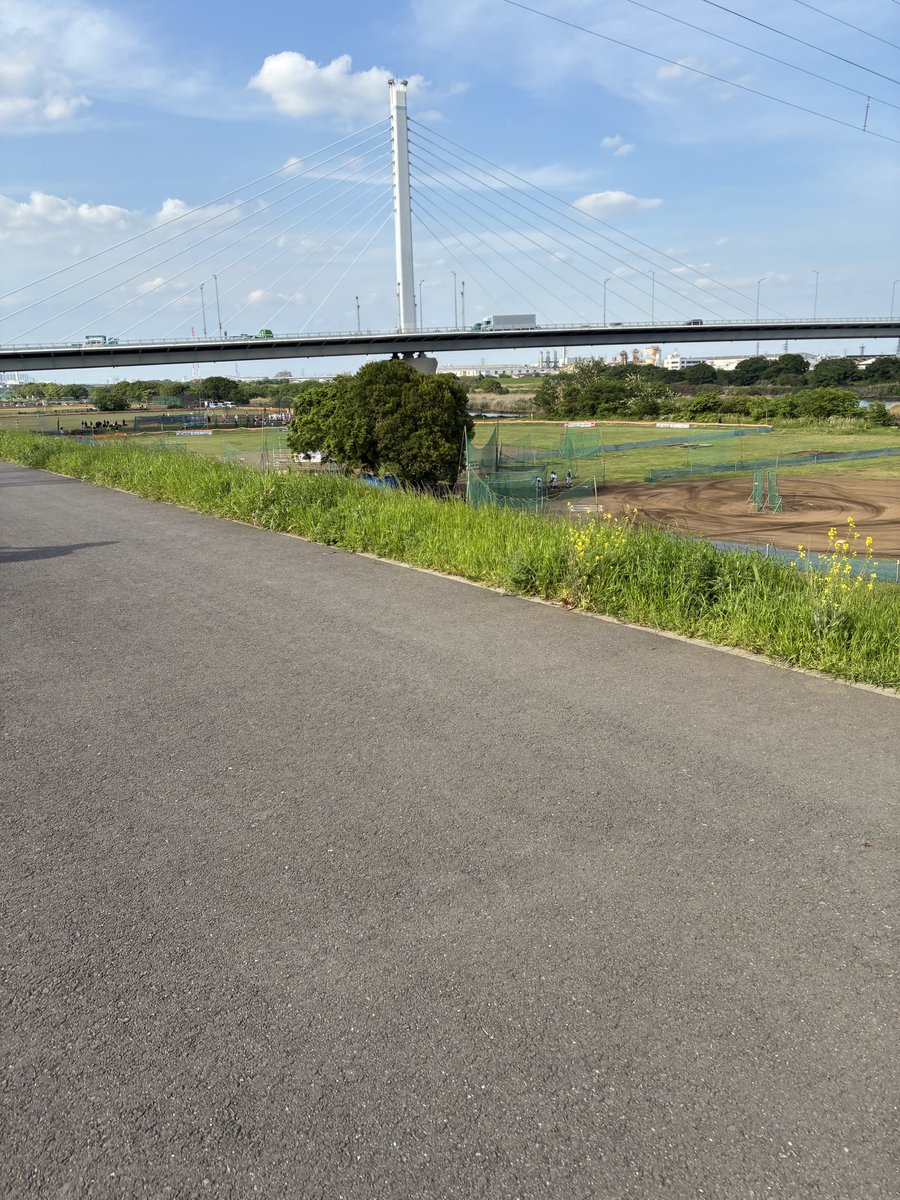 うんこ爆撃 tweet media