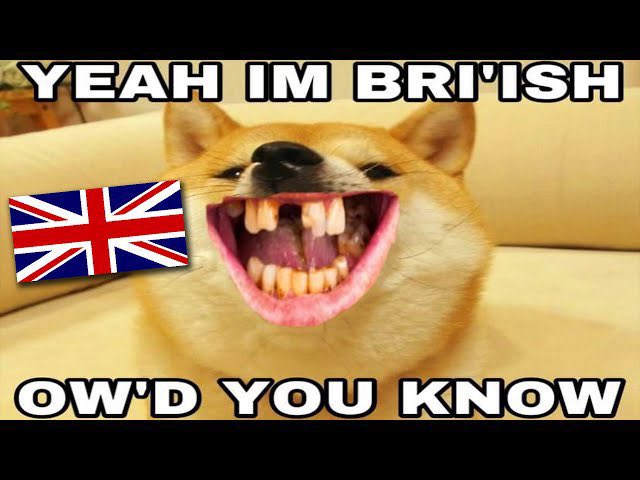 Pakistan Herald tweet media