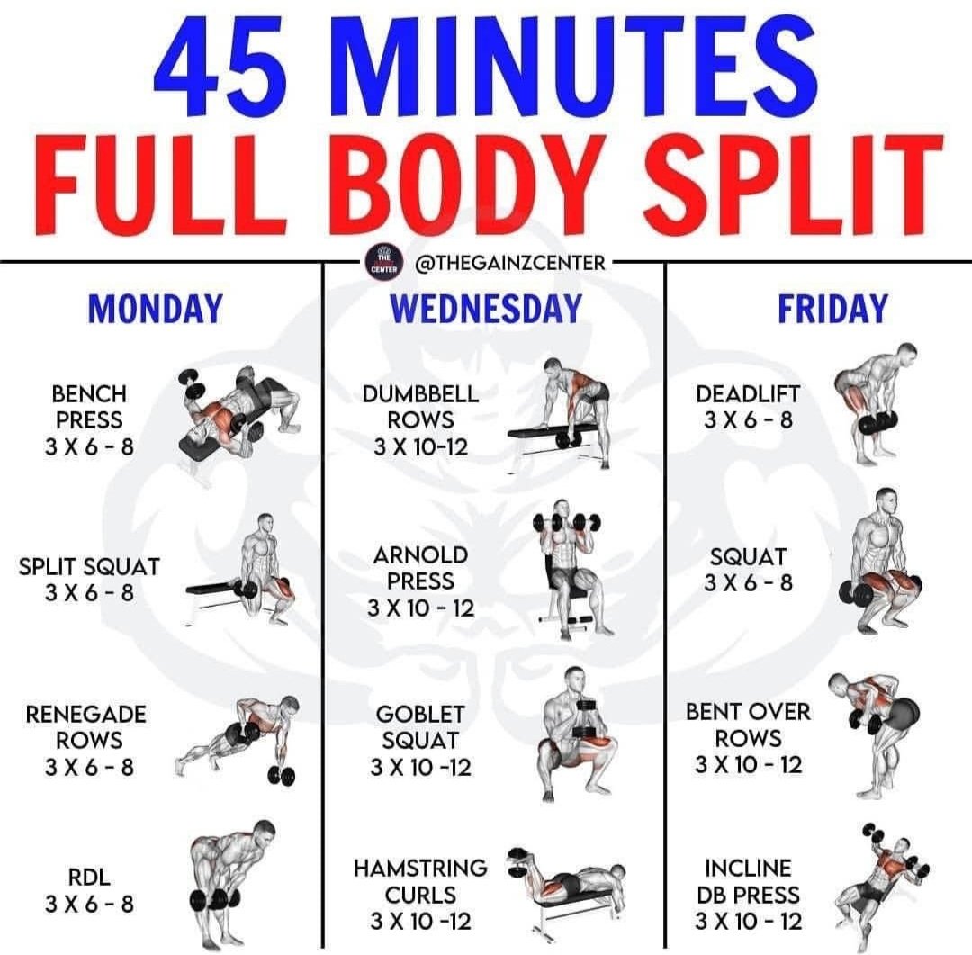 Fit Sculptor tweet media