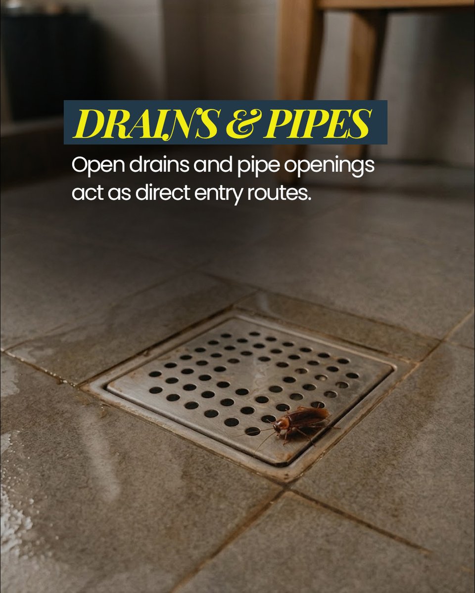 owlpestcontrol's tweet image. From tiny gaps under doors to open drains, pipes, windows, and vents, your home may have hidden entry points you never notice. These small openings can quickly lead to large infestations. 

🌐 owlpestcontrol.ie

#pestcontrol #owlpestcontrol #homeprotection #pestprevention
