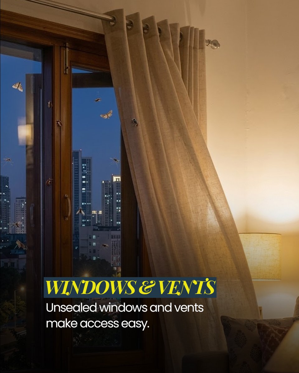 owlpestcontrol's tweet image. From tiny gaps under doors to open drains, pipes, windows, and vents, your home may have hidden entry points you never notice. These small openings can quickly lead to large infestations. 

🌐 owlpestcontrol.ie

#pestcontrol #owlpestcontrol #homeprotection #pestprevention