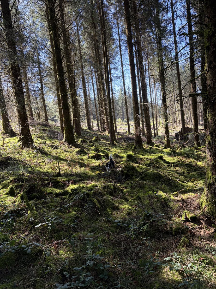 Puppy Bess and Auntie Kes tweet media