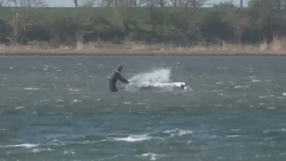 Shlay 🐳 tweet media