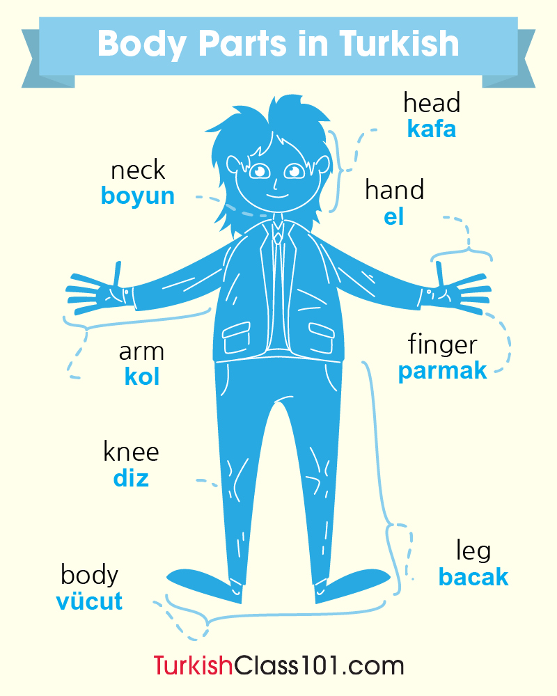 Parts of your BODY in Turkish! 👀PS: Learn Turkish with the best FREE online resources, just click here: bit.ly/4vJ0AVO