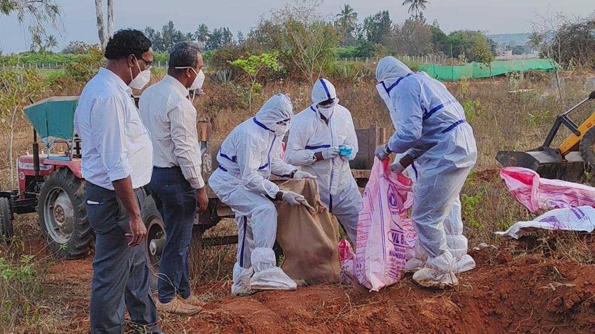No human cases of the highly pathogenic avian influenza A (H5N1) have been detected after a 10-day intensive surveillance and containment operation carried out by the State Health Department, following the outbreak at the State Poultry Rearing Training Centre in Mathkuru village,