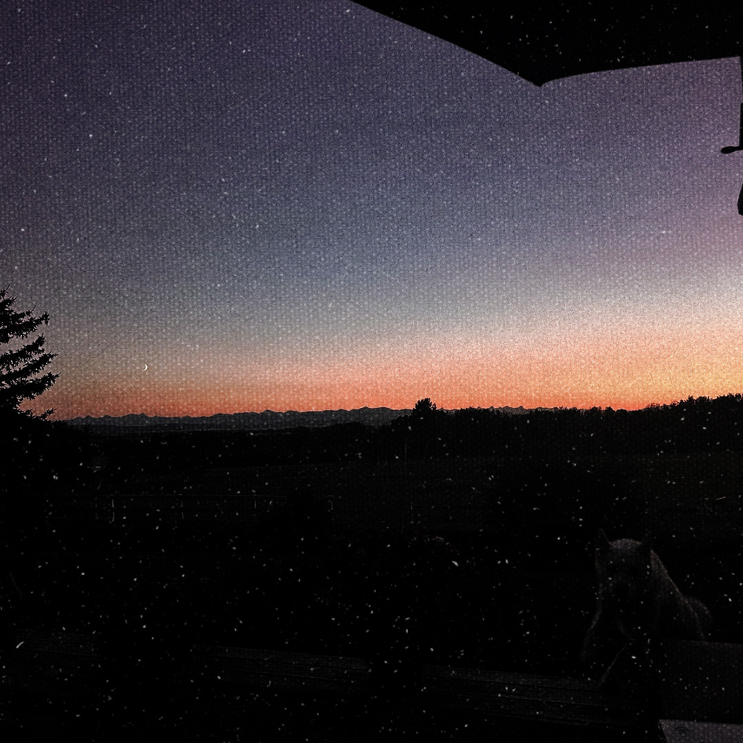 𝕸𝖆𝖝𝖜𝖊𝖑𝖑.ᐟ tweet media