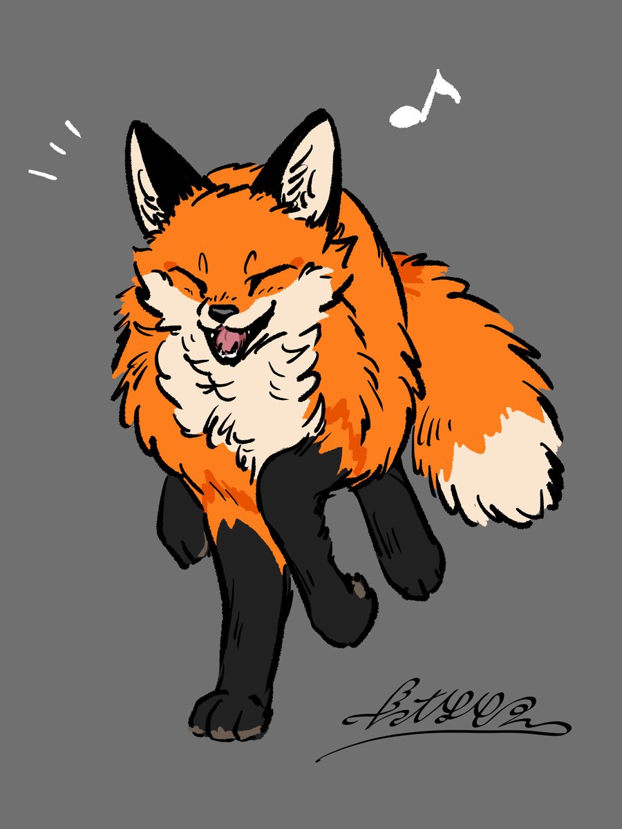 Happy Fox🎶