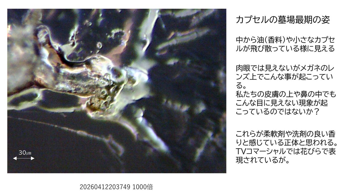 #電車で柔軟剤臭くなる
電車に乗ると気分が悪くなるので避けていますが、天国に行ってしまった人も居るので会えるうちにと勇気を出して同期会へ行ってみた。幸いその日は無事だったが下着まで柔軟剤臭くなった。次の朝はだるさと眠気がきた。
メガネに付いた #マイクロカプセル を撮影したら凄い事に。