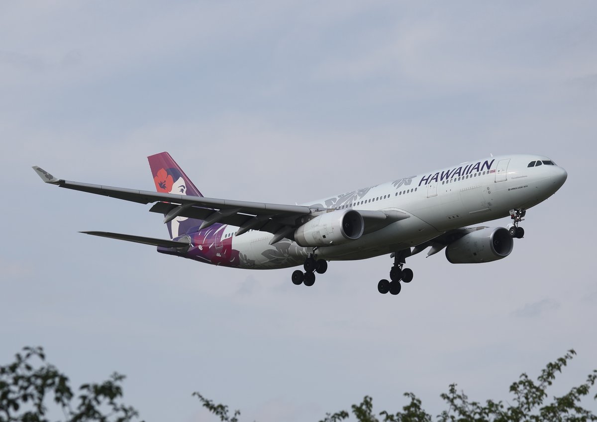 akira_raptor01's tweet image. 2026年4月25日
#成田空港（Narita International Airport）
#NRT #RJAA
⑨Hawaiian Airlines   Airbus A330-243   N383HA

※この便、しばらくアラスカ新塗装のB787が使われてましたが、今日はハワイアン塗装のA330でした
※もう成田でハワイアンは撮れないのかと思ってたので嬉しいです
