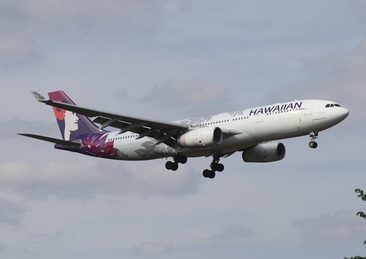 akira_raptor01's tweet image. 2026年4月25日
#成田空港（Narita International Airport）
#NRT #RJAA
⑨Hawaiian Airlines   Airbus A330-243   N383HA

※この便、しばらくアラスカ新塗装のB787が使われてましたが、今日はハワイアン塗装のA330でした
※もう成田でハワイアンは撮れないのかと思ってたので嬉しいです