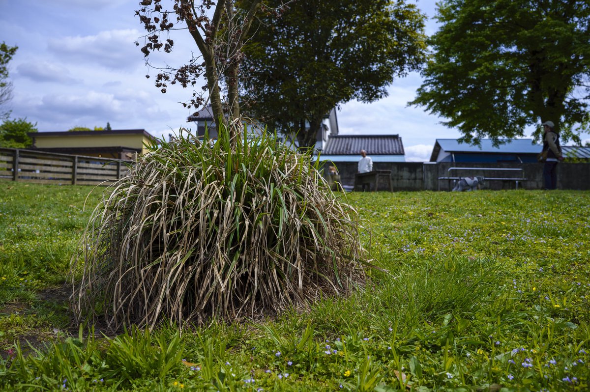 かわだ tweet media