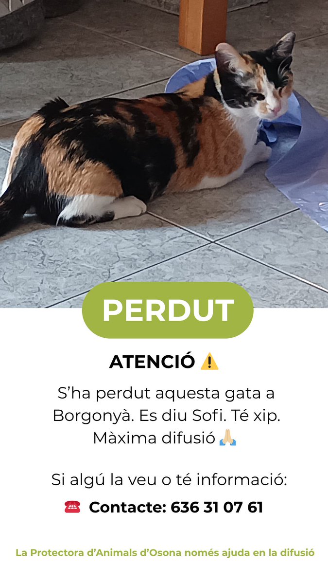 Protectora d'Animals d'Osona tweet media