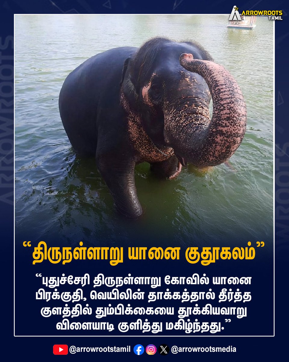 arrowrootsmedia's tweet image. "திருநள்ளாறு கோவில் யானை குதூகலம்"
#thirunallaru #elephant #bath #jollymode #arrowroots