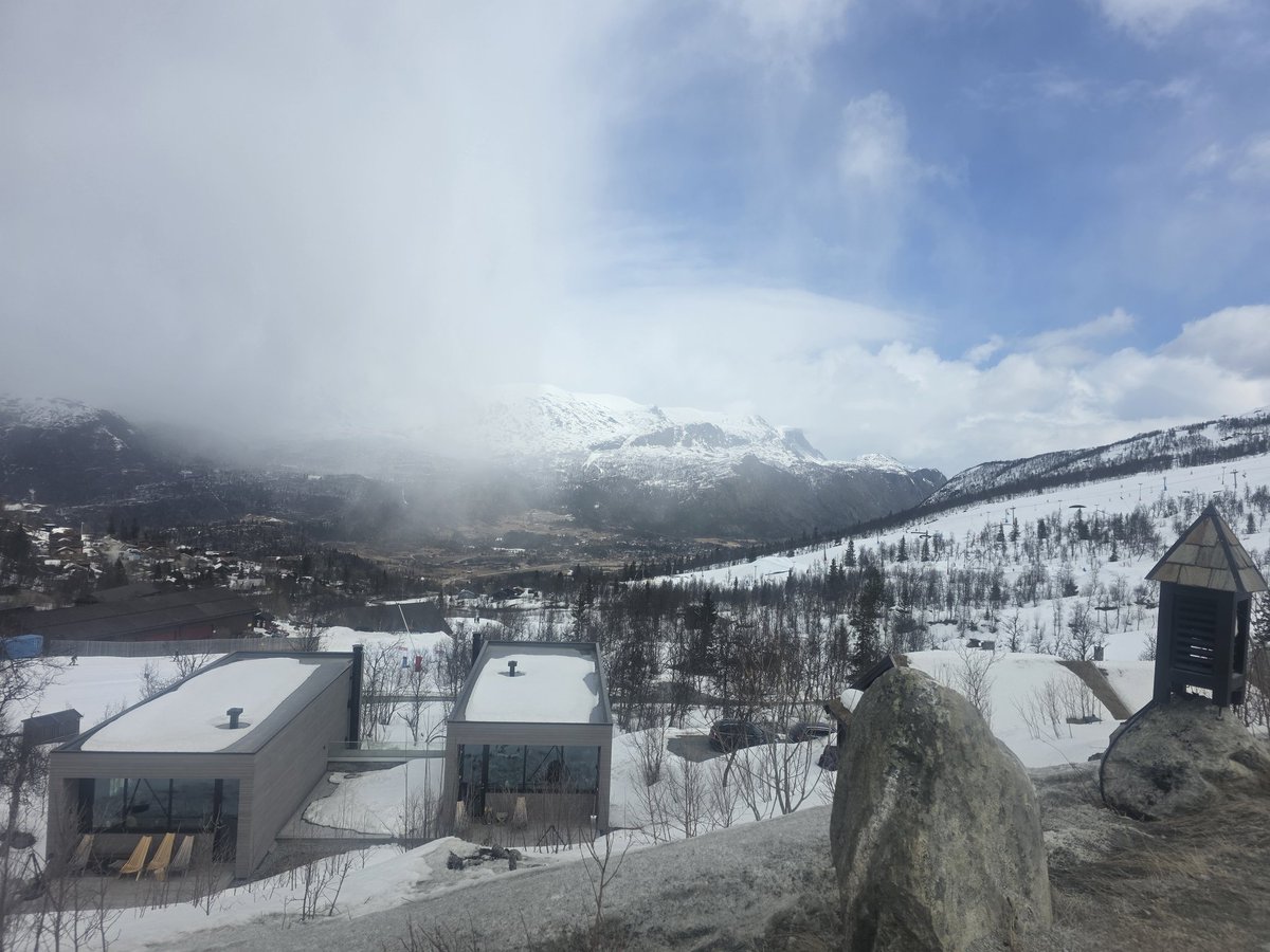 IcyCrowVT 🇧🇻 Corn Lover tweet media