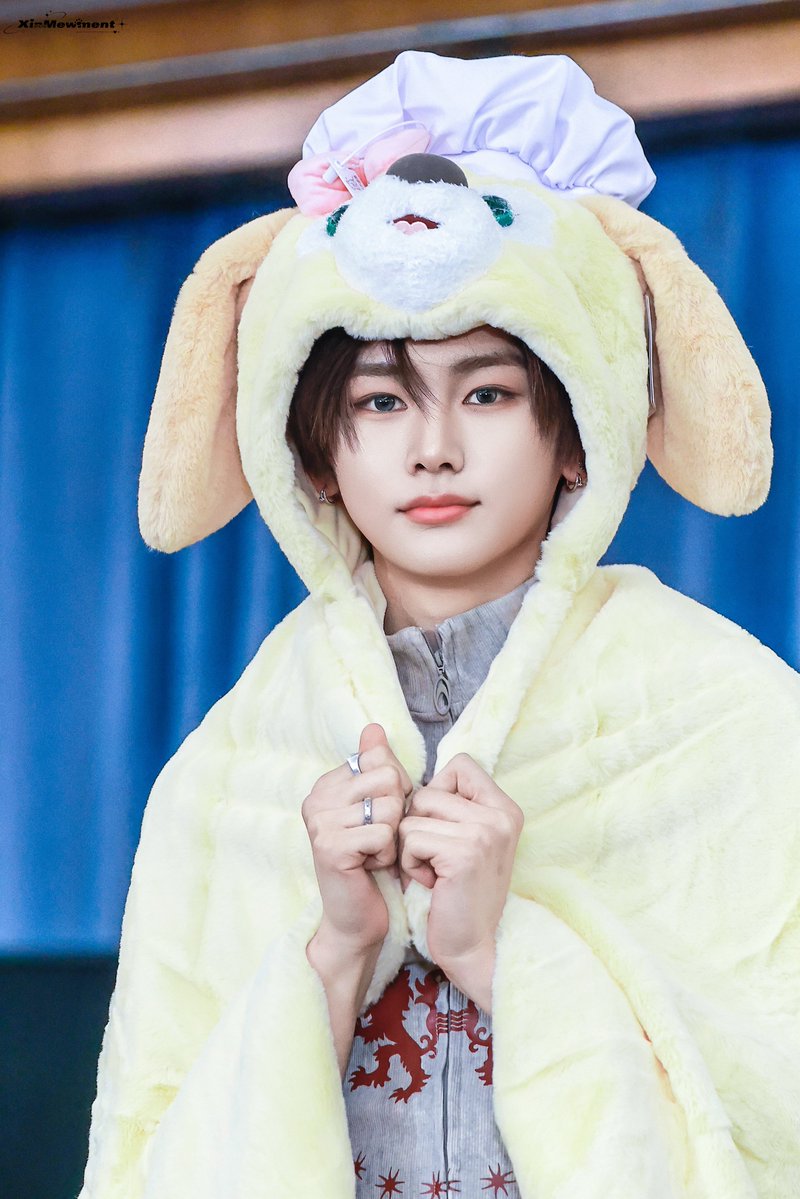 XinMewment tweet media