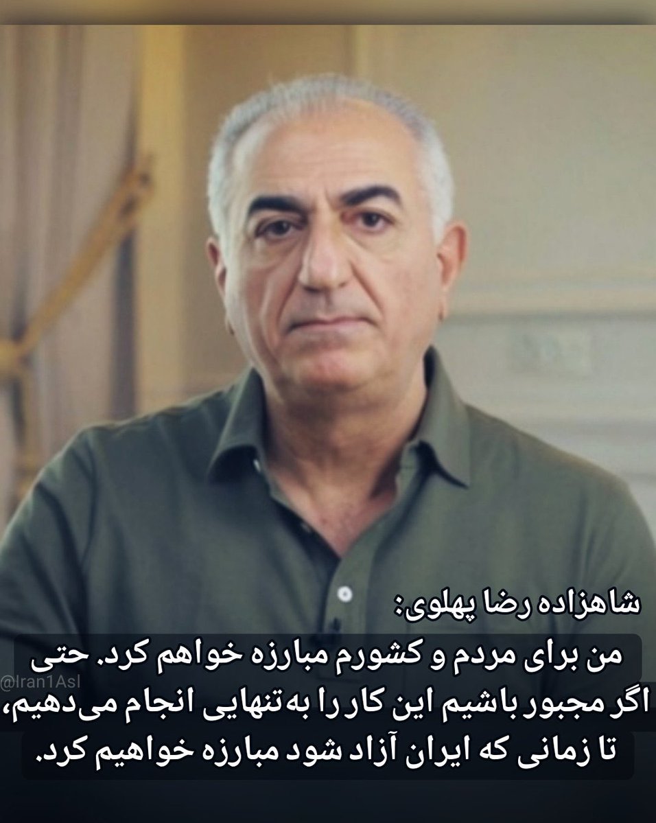 میمون مست tweet media