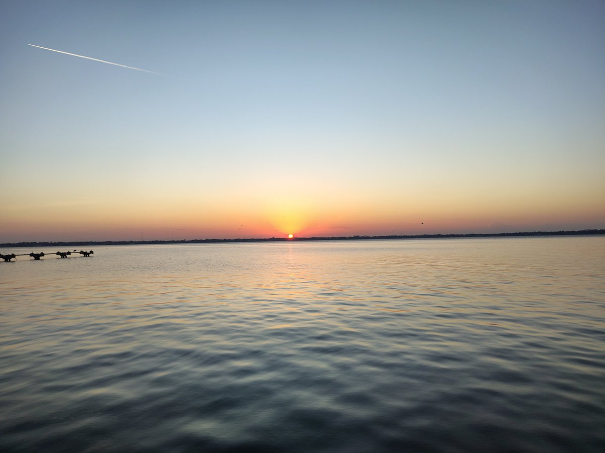 airplanelanefl's tweet image. Faith. Family. Florida. Freedom. 🇺🇸
A good beautiful morning from Northeast Florida.
There’s something special about waking up free in America, it is always a blessing.
Have a blessed Saturday. 
#SemperFi 🦅🌎⚓ 🇺🇸🇺🇸🇺🇸🇺🇸
#Florida #Freedom #Saturday