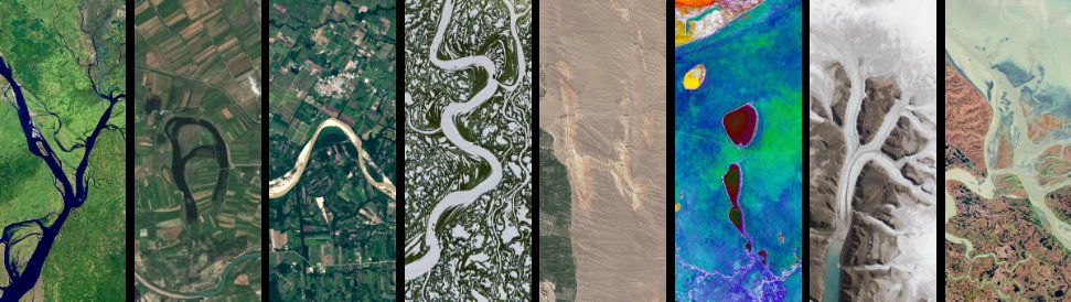 Vanshika Kaushal tweet media