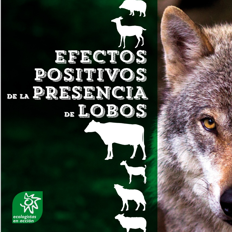 Theo Oberhuber tweet media