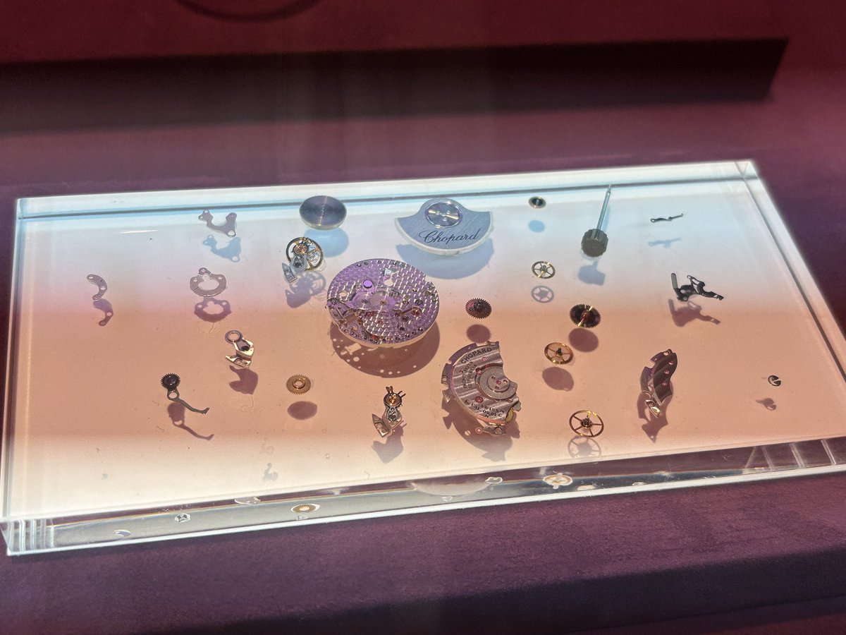 ひよこ tweet media