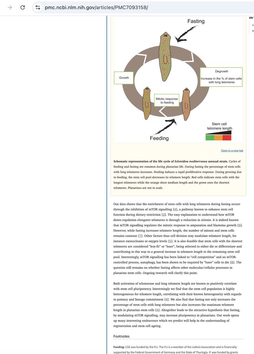 👙Sissy Loser Nick INVESTIGATES 🩲 😭😭 tweet media