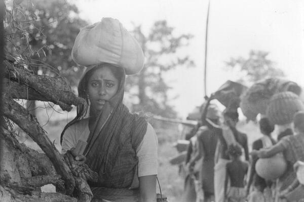 Mad-হবি 🐒 tweet media