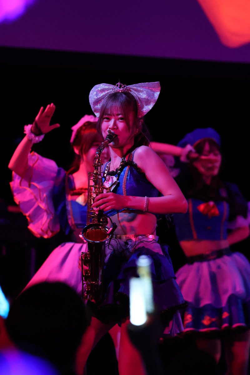 まかろん（なうやしの家の猫） tweet media