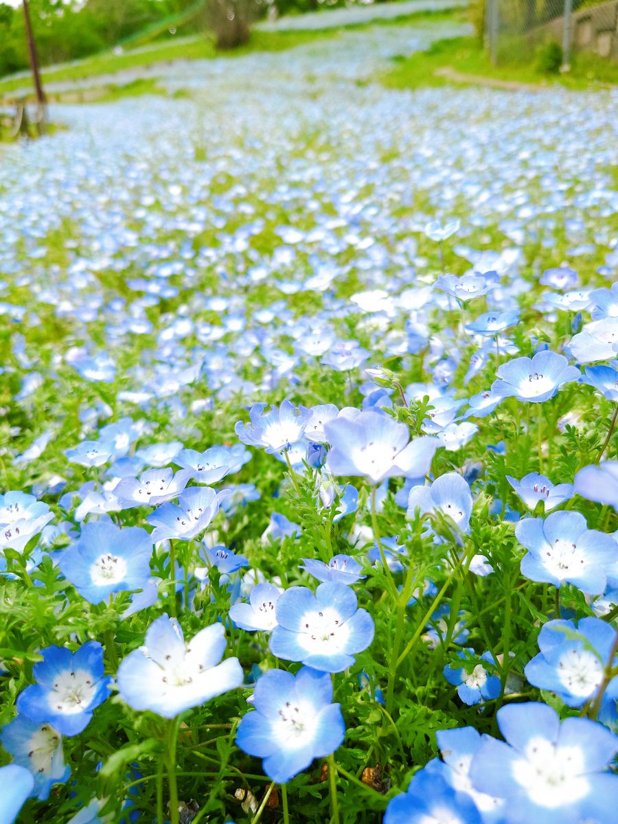 とびちゃん🍰 tweet media