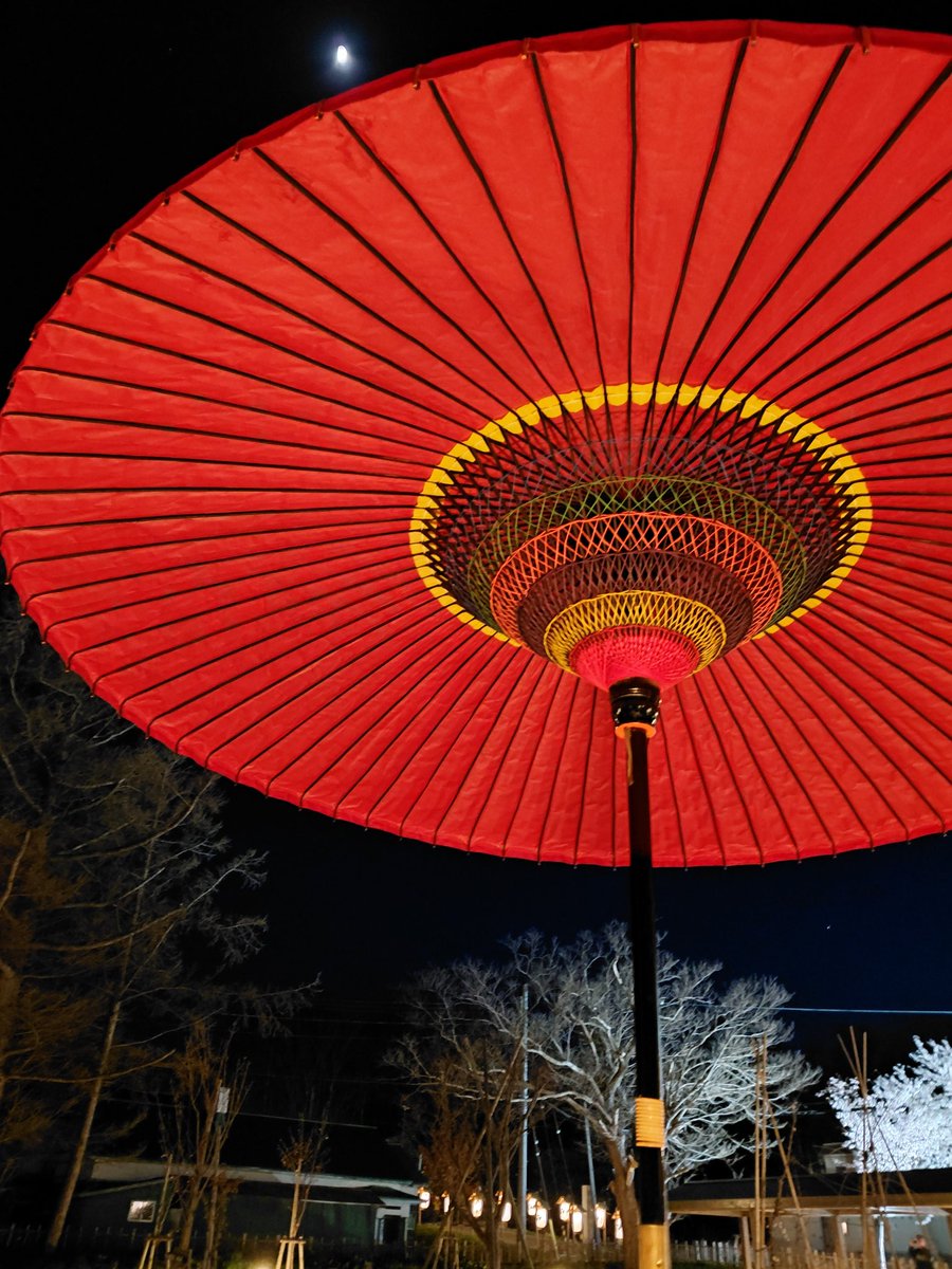 ふわふわうさぎ🦝💓☃️ tweet media