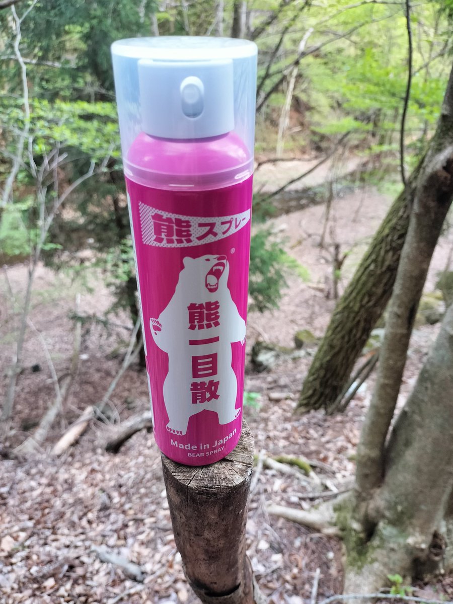 パーム tweet media