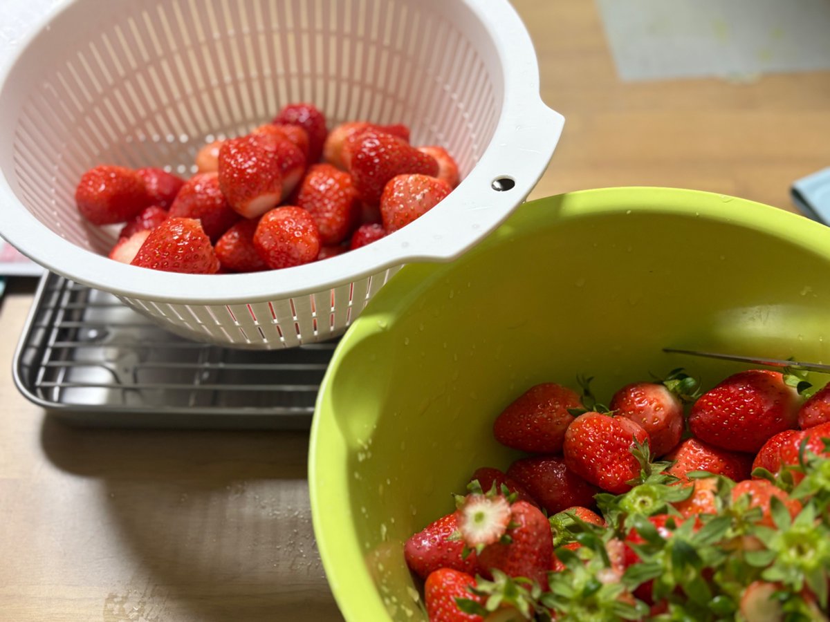 어린이가 학교 급식에서 나온 수제딸기우유가 너~~~무맛있었다며 그런거(?)또 먹고 싶대서 시장에서 떨이 딸기 사다가 손질중~~
이제 물기 좀 빠지면 설탕 넣고 팍팍 주무르면 된당😆😆