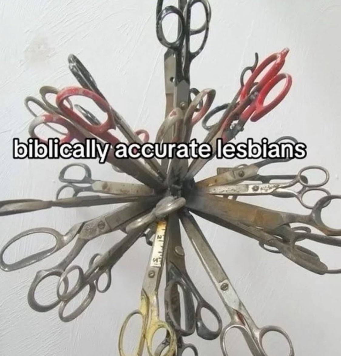 Krystal but Dumb 🏳️‍⚧️ tweet media