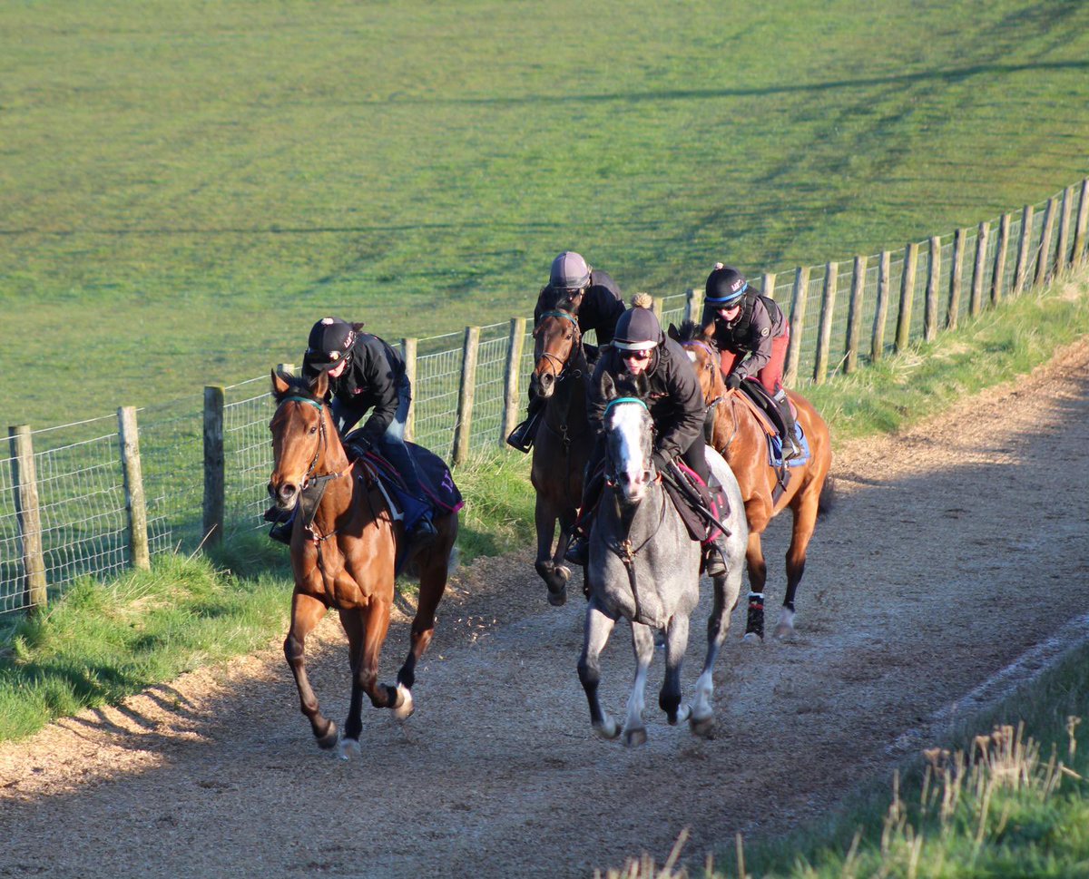 Let's Be Lucky Racing tweet media