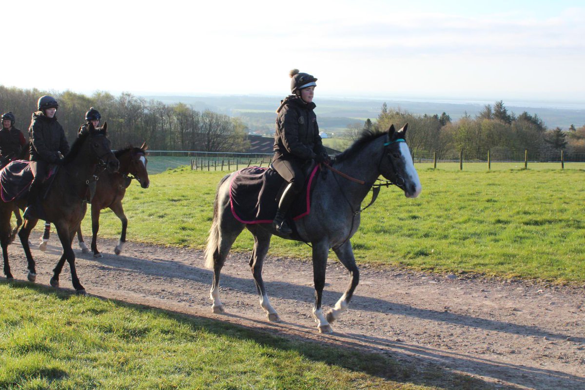 Let's Be Lucky Racing tweet media