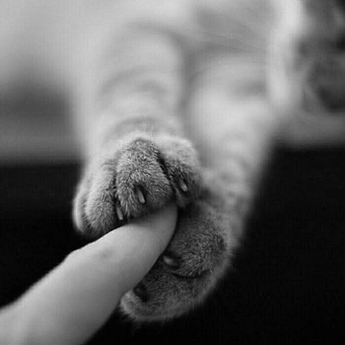 The most wonderful place on earth is to be in someone's heart  ❤️