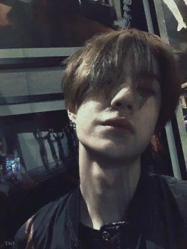 Yibo Base tweet media