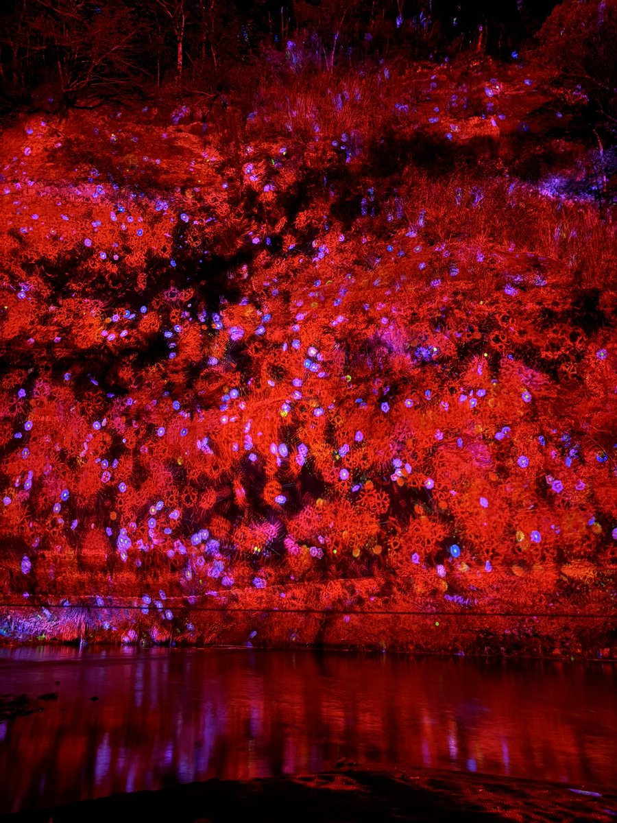 𝐫𝐞𝐤𝐢. tweet media